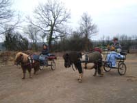 20070126_attelage_promenade_rodemiule0007