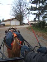 20070126_attelage_promenade_rodemiule0013