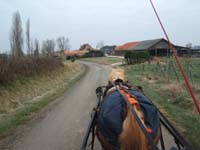 20070126_attelage_promenade_rodemiule0033