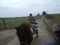 20070126_attelage_promenade_rodemiule0035