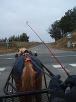20070126_attelage_promenade_rodemiule0037