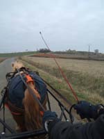 20070126_attelage_promenade_rodemiule0039