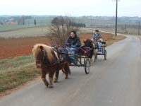 20070126_attelage_promenade_rodemiule0043