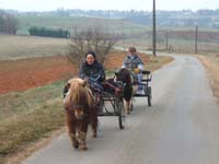 20070126_attelage_promenade_rodemiule0044