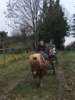20070126_attelage_promenade_rodemiule0052
