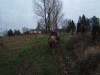 20070126_attelage_promenade_rodemiule0054