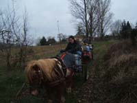 20070126_attelage_promenade_rodemiule0055