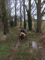 20070126_attelage_promenade_rodemiule0057