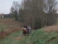 20070126_attelage_promenade_rodemiule0060