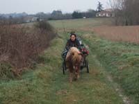 20070126_attelage_promenade_rodemiule0063