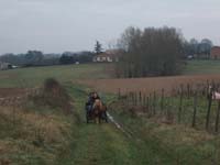 20070126_attelage_promenade_rodemiule0064