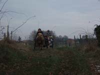 20070126_attelage_promenade_rodemiule0067