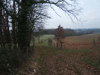 20070126_attelage_promenade_rodemiule0068