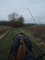 20070126_attelage_promenade_rodemiule0074