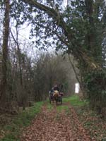 20070126_attelage_promenade_rodemiule0086