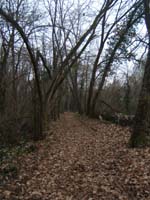 20070126_attelage_promenade_rodemiule0088