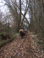 20070126_attelage_promenade_rodemiule0091