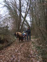 20070126_attelage_promenade_rodemiule0093