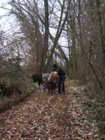 20070126_attelage_promenade_rodemiule0095