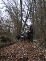 20070126_attelage_promenade_rodemiule0097