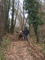 20070126_attelage_promenade_rodemiule0100