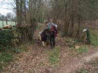 20070126_attelage_promenade_rodemiule0107