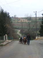 20070126_attelage_promenade_rodemiule0116
