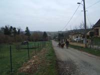 20070126_attelage_promenade_rodemiule0119