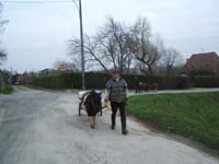 20070126_attelage_promenade_rodemiule0122