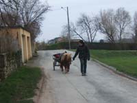 20070126_attelage_promenade_rodemiule0125