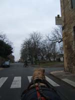 20070126_attelage_promenade_rodemiule0149