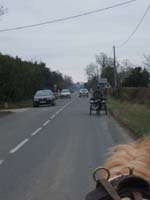 20070126_attelage_promenade_rodemiule0160