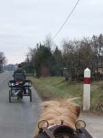 20070126_attelage_promenade_rodemiule0165
