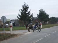 20070126_attelage_promenade_rodemiule0172