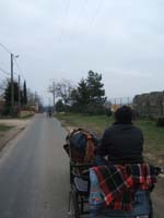 20070126_attelage_promenade_rodemiule0179