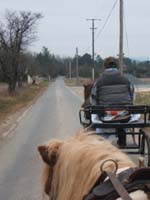 20070126_attelage_promenade_rodemiule0187