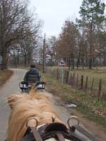 20070126_attelage_promenade_rodemiule0196