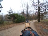 20070126_attelage_promenade_rodemiule0199