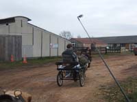 20070126_attelage_promenade_rodemiule0202