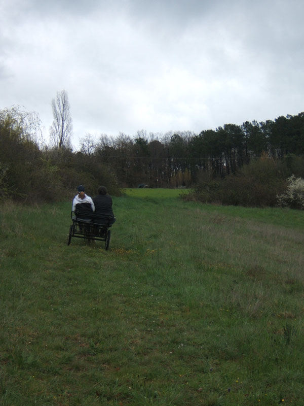 20070331_reconnaissance_falgeret_belle0040