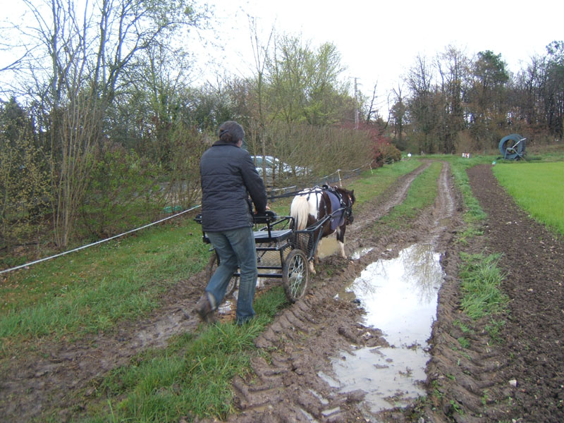 20070331_reconnaissance_falgeret_belle0045