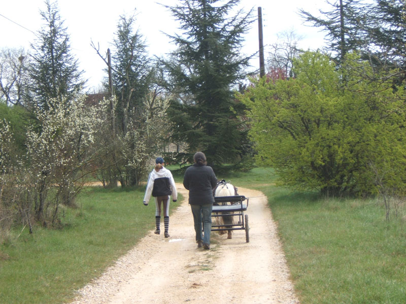 20070331_reconnaissance_falgeret_belle0074