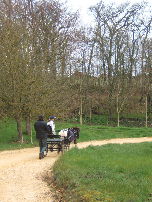 20070331_reconnaissance_falgeret_belle0077