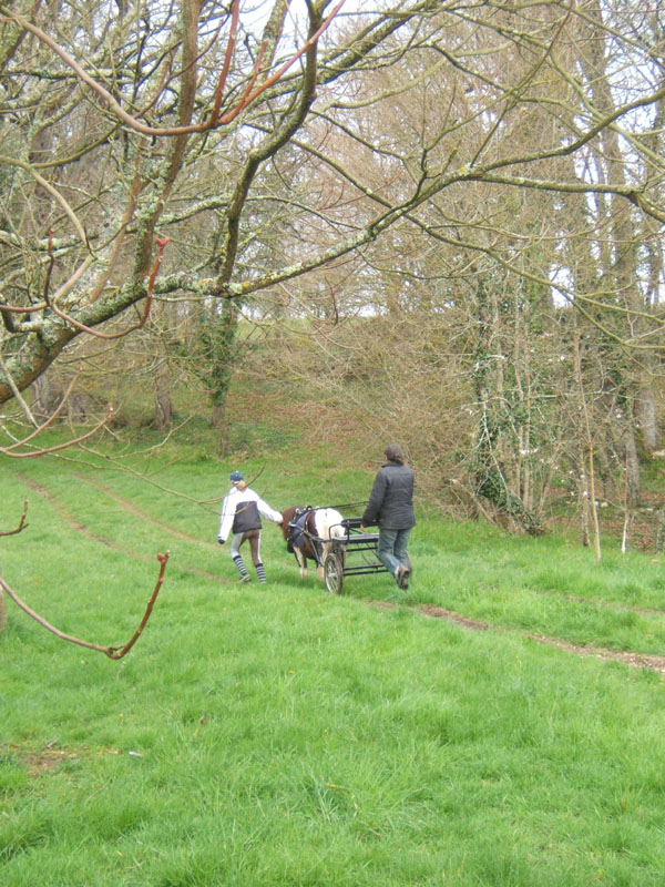 20070331_reconnaissance_falgeret_belle0079