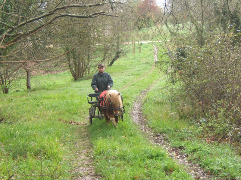 20070331_reconnaissance_falgeret_belle0085