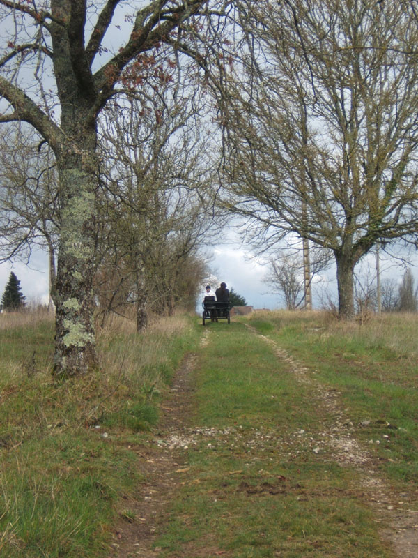 20070331_reconnaissance_falgeret_belle0089