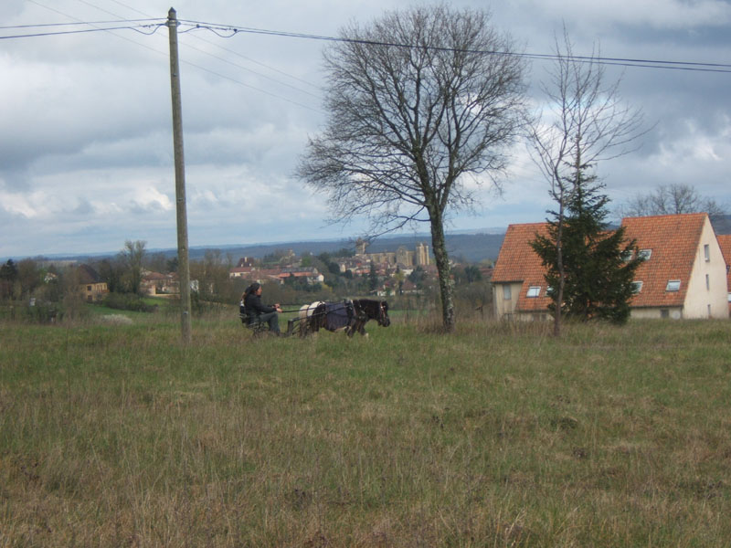 20070331_reconnaissance_falgeret_belle0091