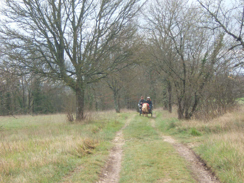 20070331_reconnaissance_falgeret_belle0092