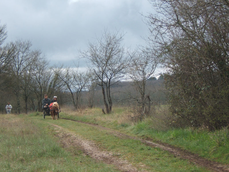 20070331_reconnaissance_falgeret_belle0094