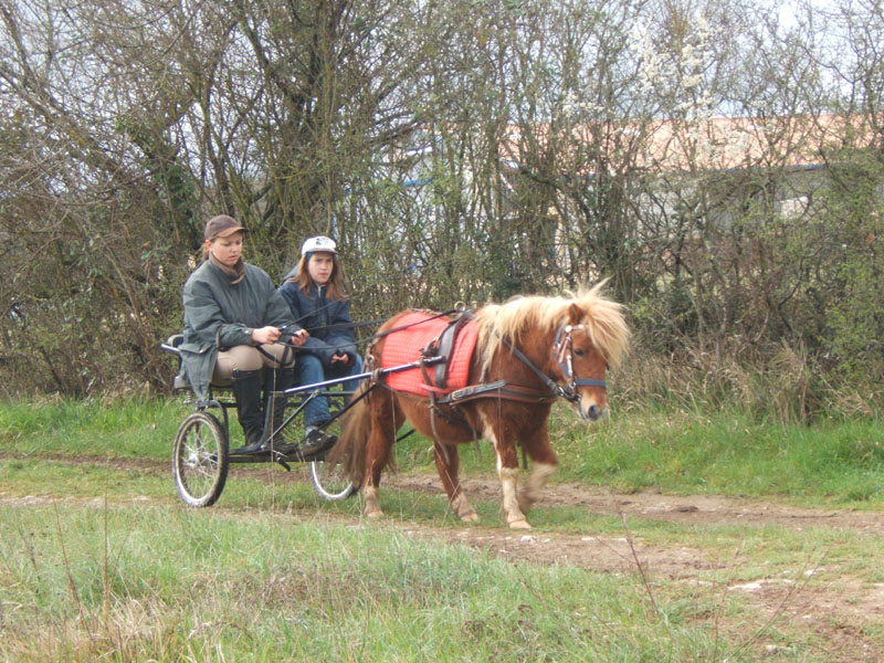 20070331_reconnaissance_falgeret_belle0096